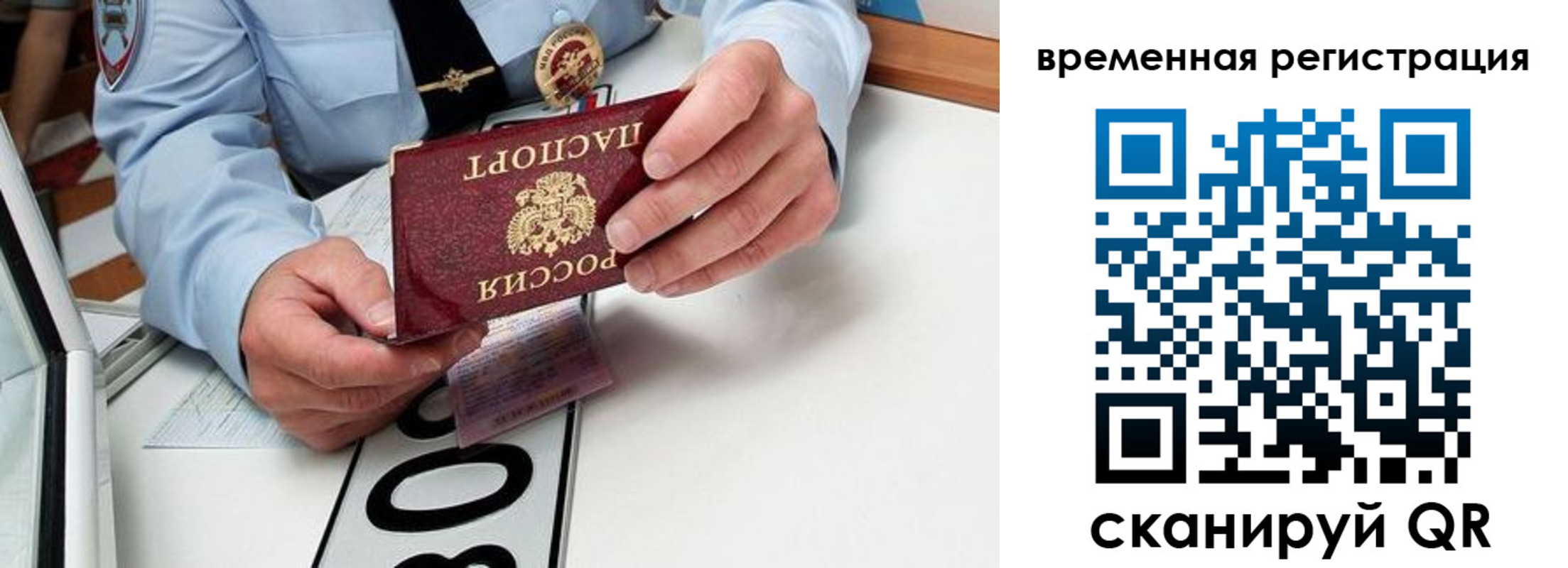 прописка гарантия в Судогде